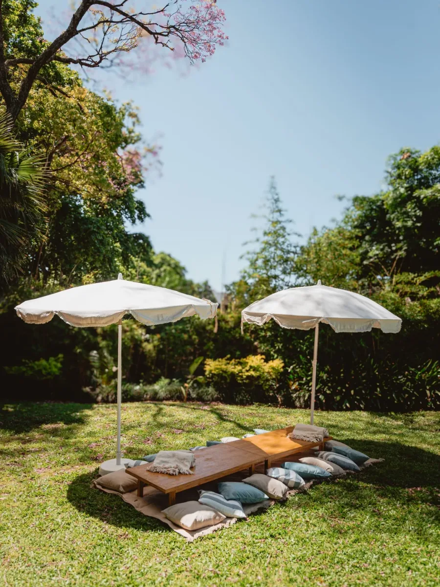 Picnic